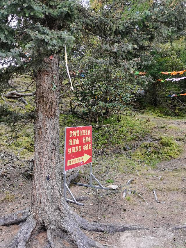 康定情歌木格措风景区自驾攻略,康定情歌木格措风景区舞蹈