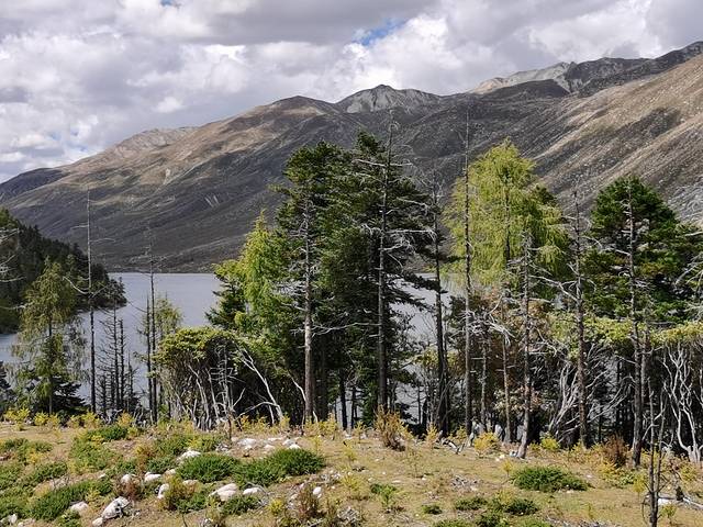 康定情歌木格措风景区自驾攻略,康定情歌木格措风景区舞蹈