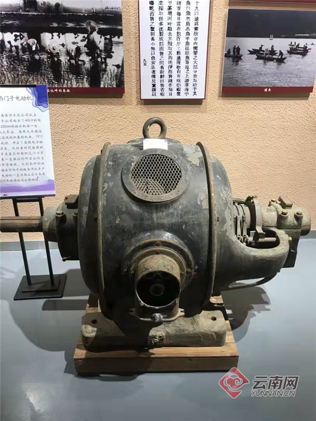 云南大理奇妙博物馆,云南生命博物馆