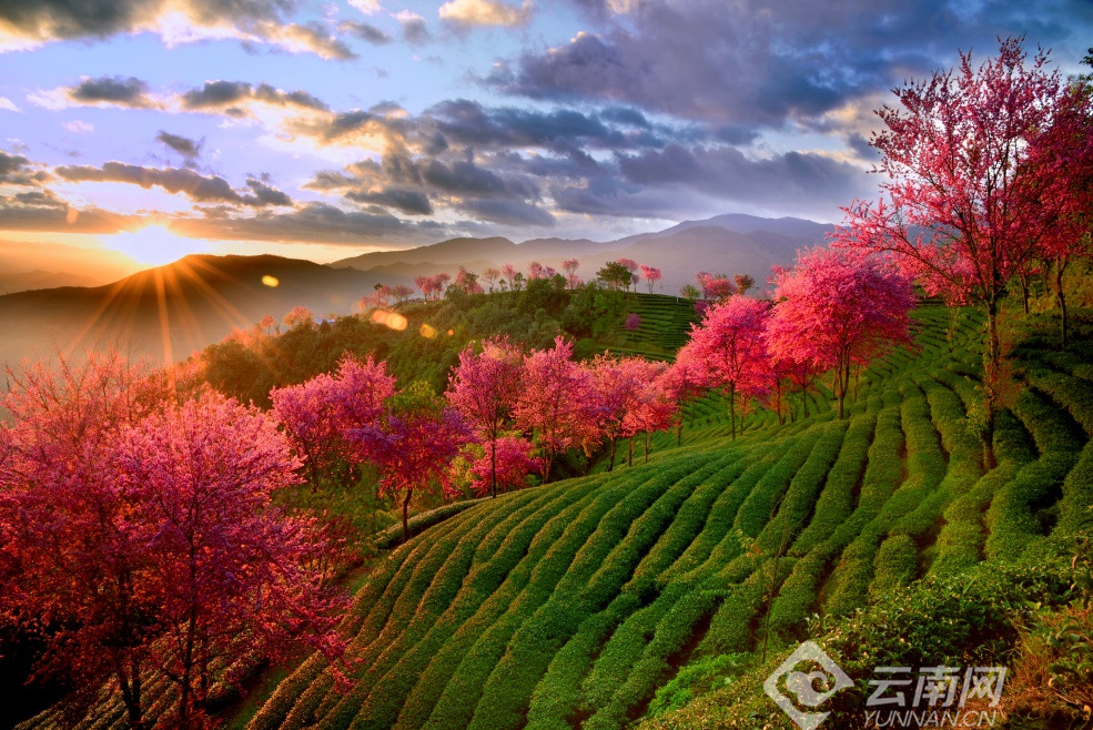 国庆去大理旅游玩攻略大全,国庆大理哪里玩最好推荐