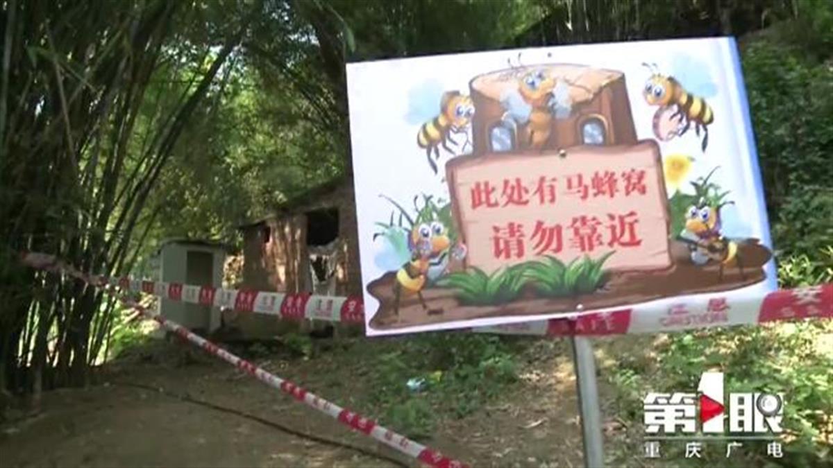 罕见！四川一男子收获2.4米196斤红娘大黑蜂蜂窝，它究竟有多毒？