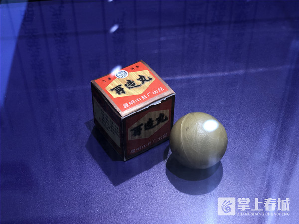 COP15遇见昆明|640年匠心传承中华老字号昆中药的新使命