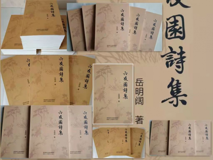 岳明阔讲诗词创作,岳明阔简介
