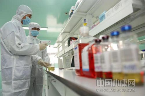 为推动中华文明复兴贡献青春力量,为腾飞添砖加瓦