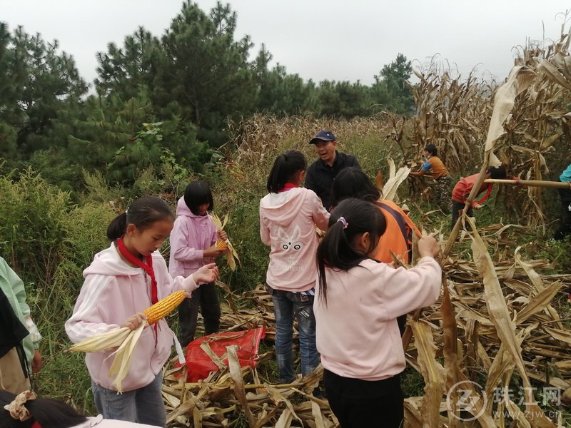 靖外明德小学创新模式,宣威市靖外明德小学教学质量