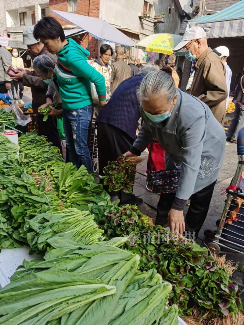 柳州现在什么青菜便宜,柳州青菜贵