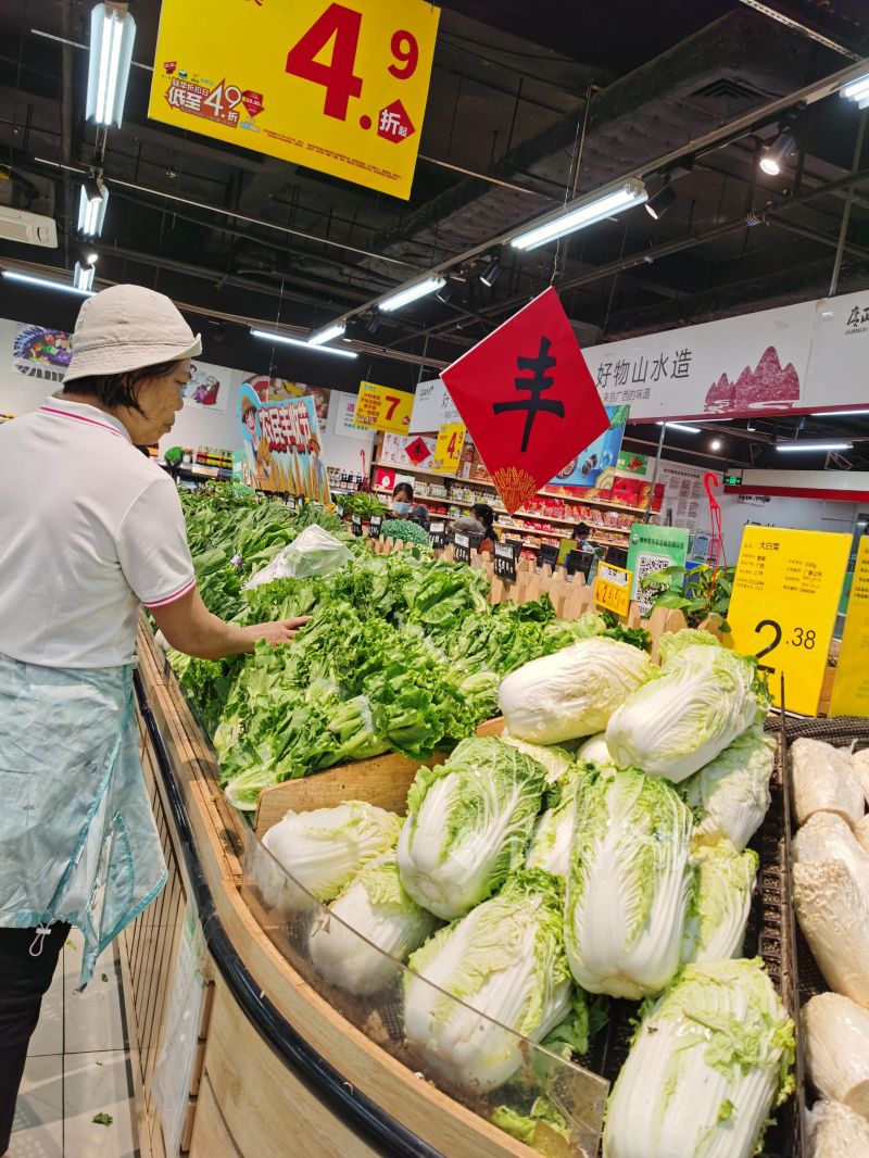 柳州现在什么青菜便宜,柳州青菜贵