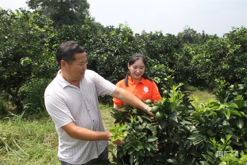 长征路上新青年丨创业英雄“瑶姑娘”：广阔农村大有可为做新时代“三农”青年