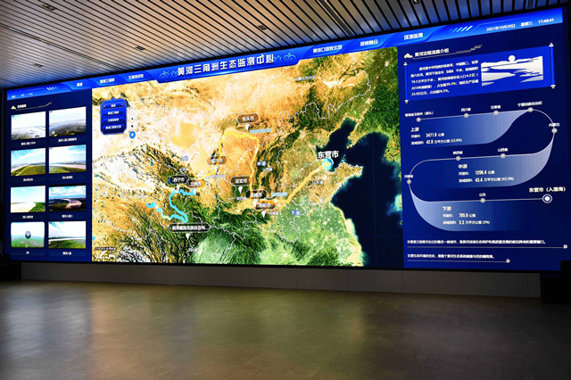 生态湿地百鸟来栖视频,护大河之洲引百鸟来栖