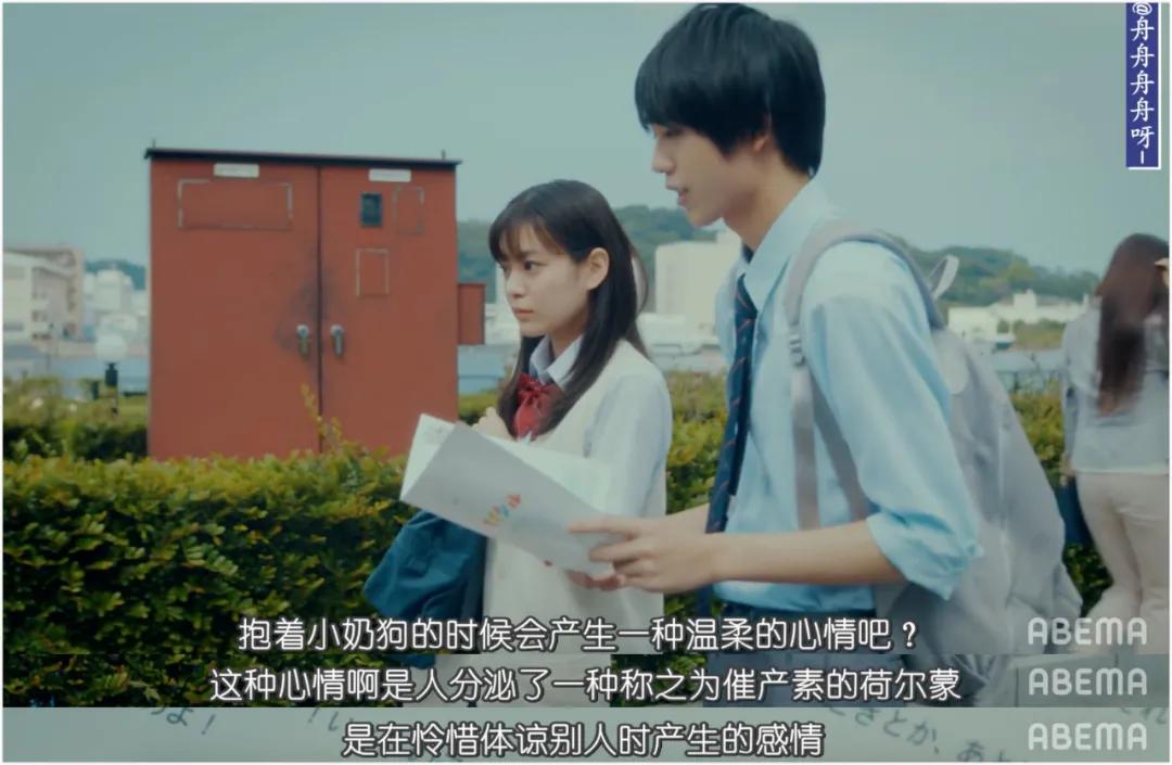 豆瓣9.1,岛国版《性教育》,所有青少年都应该看看