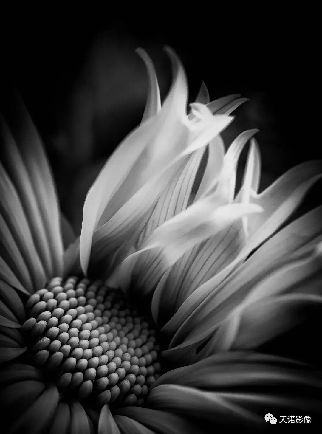 徕卡q系列是松下吗,徕卡q很容易坏吗