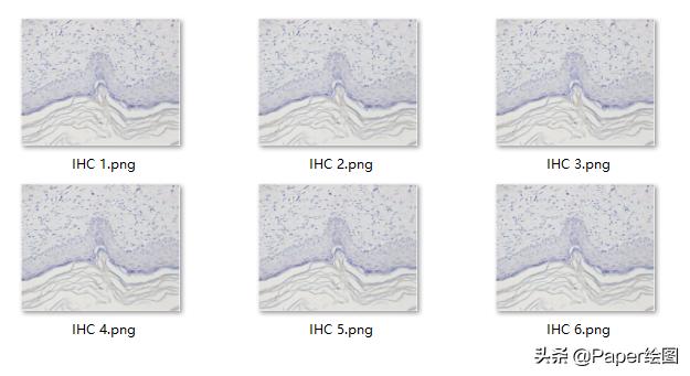 ps如何统一换尺寸和分辨率,ps如何快速更改多个图片尺寸