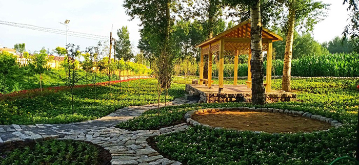 因鹿而生，以鹿而兴，长春市盘古屯打造美丽乡村样板