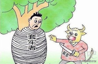 一个老股民血泪史完整版,一位成功老股民的肺腑之言四原则