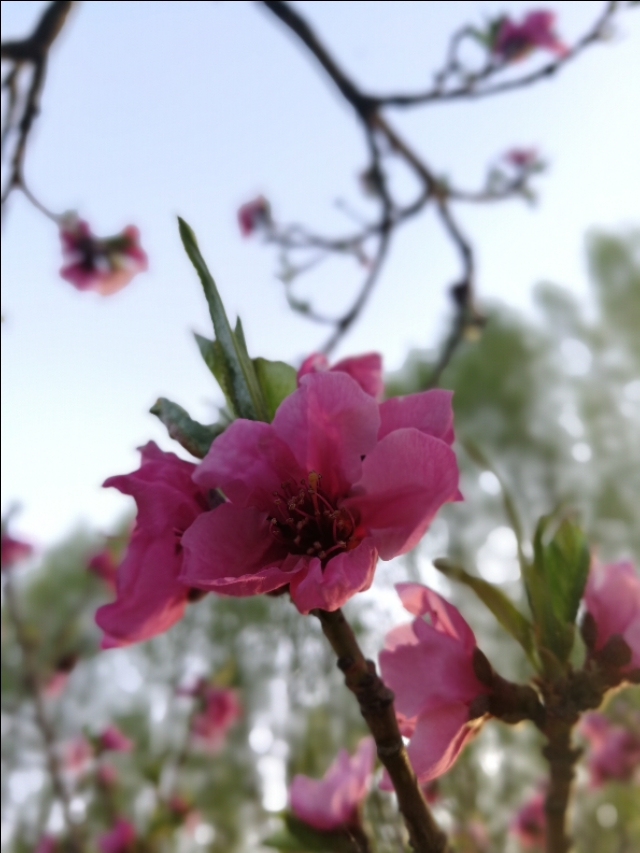 台式电脑可以换cpu升级吗,电脑升级如何更换cpu