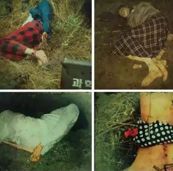 电影杀人案但无法定罪,电影里未破的杀人悬案