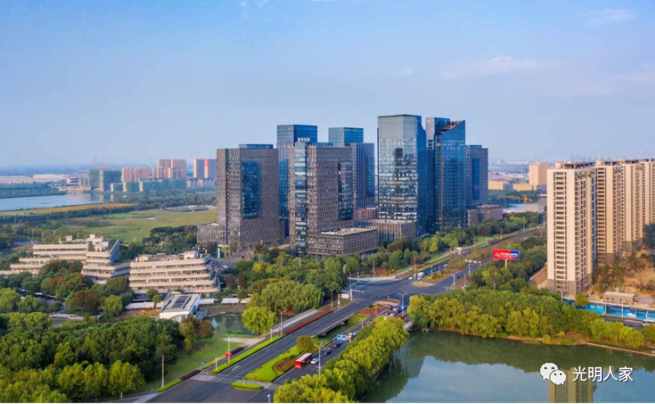 柳市镇为什么被成为浙江第一镇,浙江第一强镇柳市