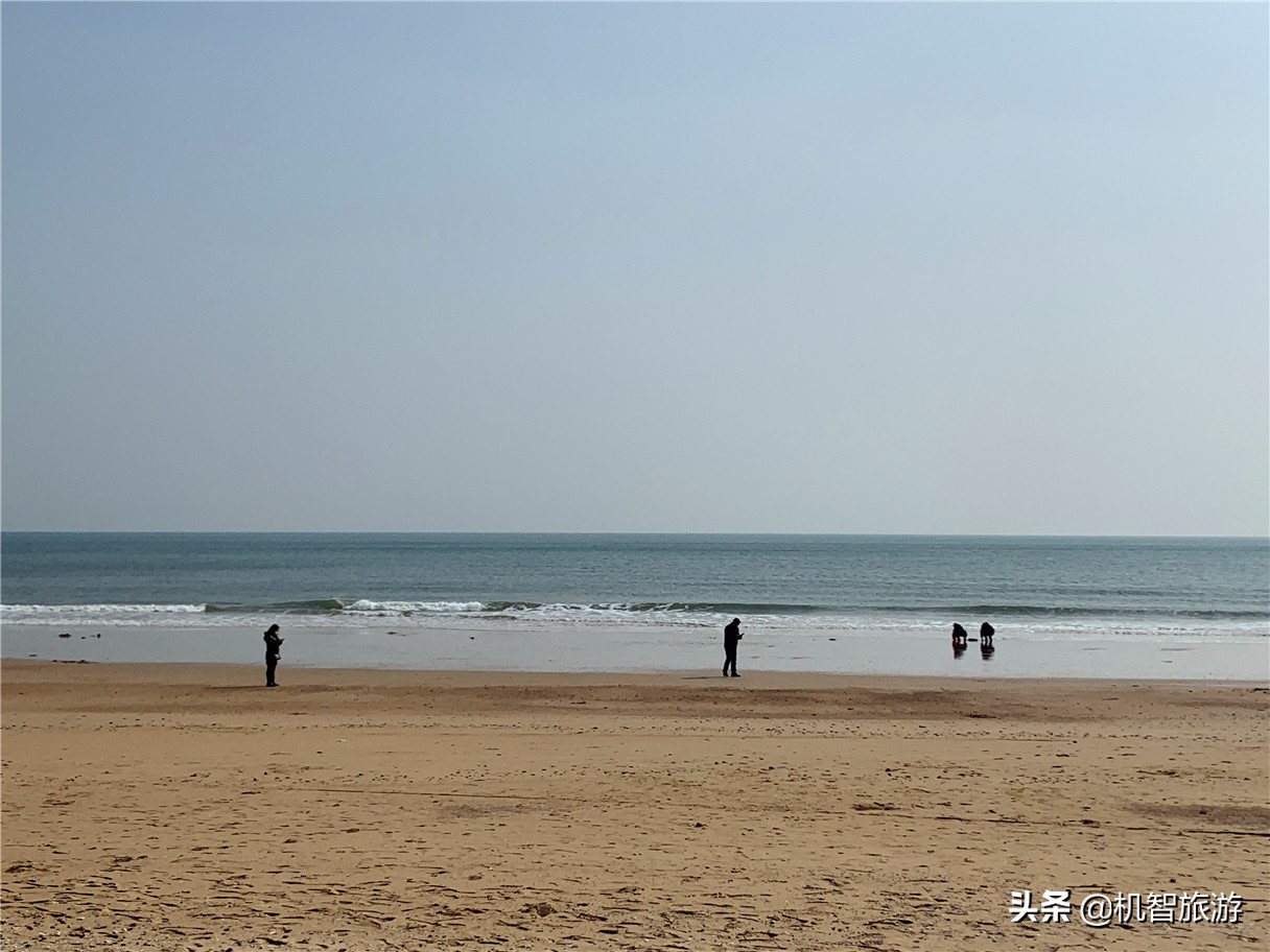 日照渔家乐市场哪个好吃,日照海边渔家乐哪家好