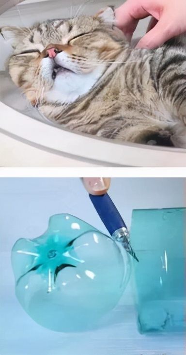 搜集一个笑死人的笑话,关于笑死人的笑话故事