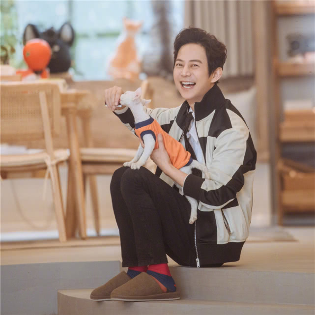 谢娜副业,谢娜的副业