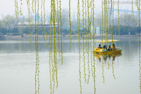 诗词春韵经典诵读,诗词春望古诗