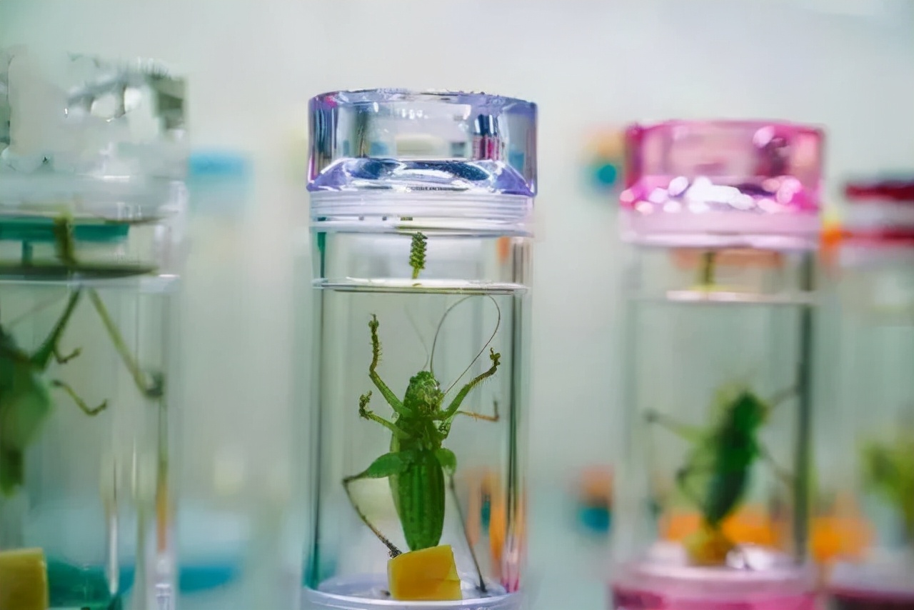 求求你，别再误会和平人了