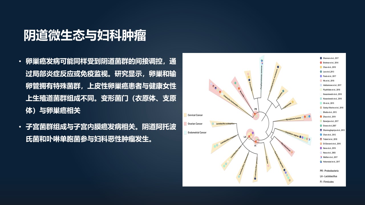 肖冰冰,肖冰冰的创作