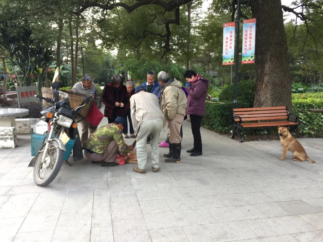 一些像土拨鼠一样的小故事