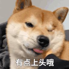 涂磊老师卖过的东西,涂磊99元红酒