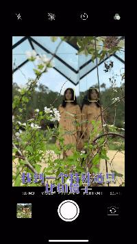 未来10天预警，深圳最最最最火的地方在这里，美女都赶来打卡