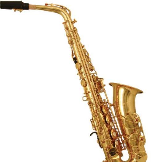 初学萨克斯买什么调的萨克斯,初学萨克斯应该买哪种