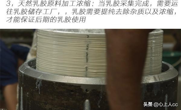 真乳胶枕和假乳胶怎么辨别,怎么区分天然乳胶枕和海绵枕头