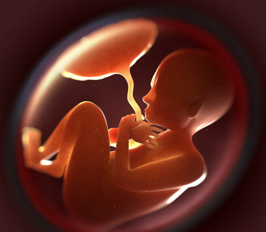 新生儿脐带容易被扯掉吗,新生儿脐带剪了是打结吗