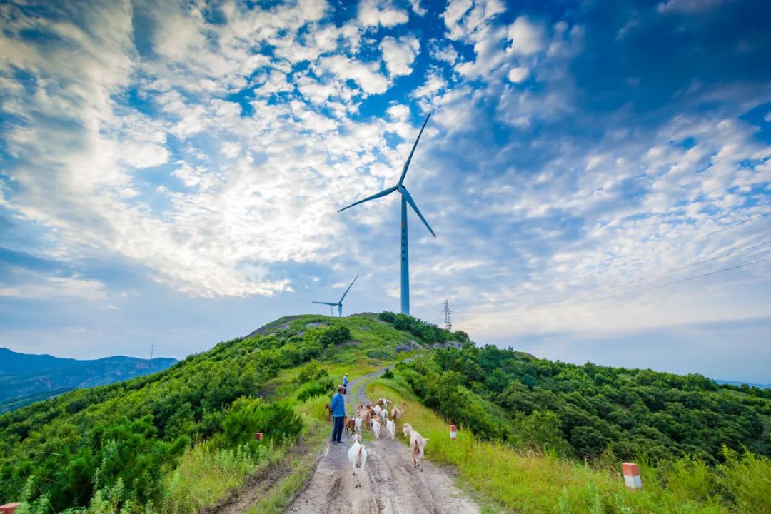 东港这么美！我要去看看