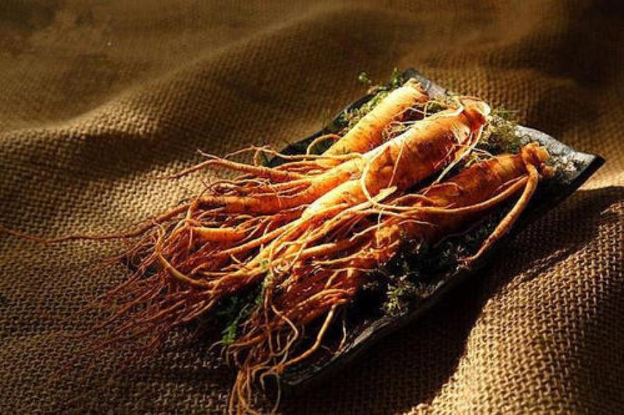 高丽参和人参的差别,中国人参韩国人包装成高丽参