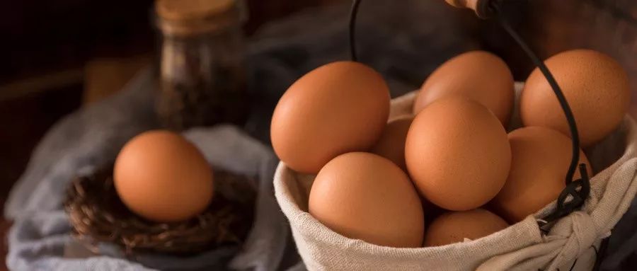 坤鹏论准确预测,坤鹏论股票投资