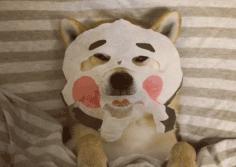 敷面膜烂脸怎么解决,烂脸可以敷面膜吗