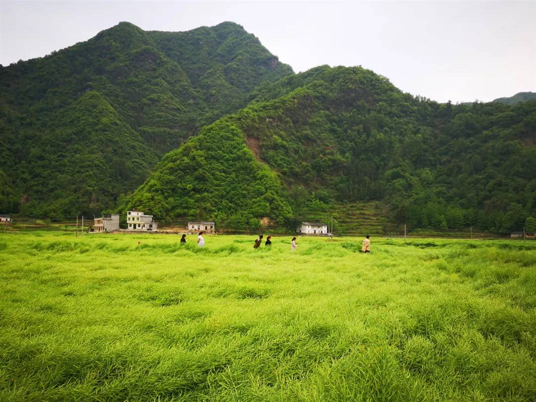 西安香格里拉游玩攻略,西安自驾云南香格里拉