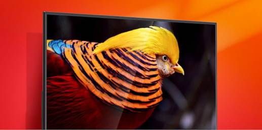 乐视超级电视超4x50是多大的尺寸,乐视超级电视4x50怎么样