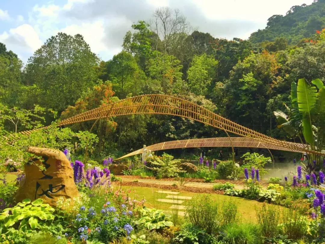 未来10天预警，深圳最最最最火的地方在这里，美女都赶来打卡