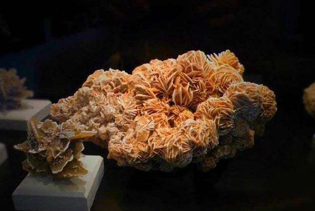 在沙漠中见到石头一定要捡起来,为何在沙漠看到石头必须捡起来