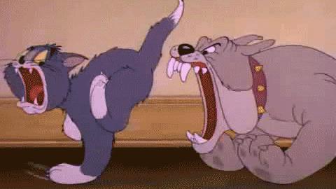 男孩被狗舔了会得狂犬病吗,孩子被狗舔导致狂犬病