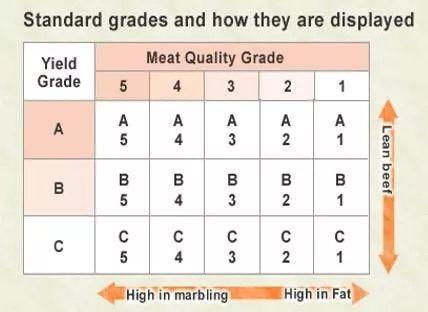 牛排中间的红色血液可以吃吗,牛排的血水能吃吗