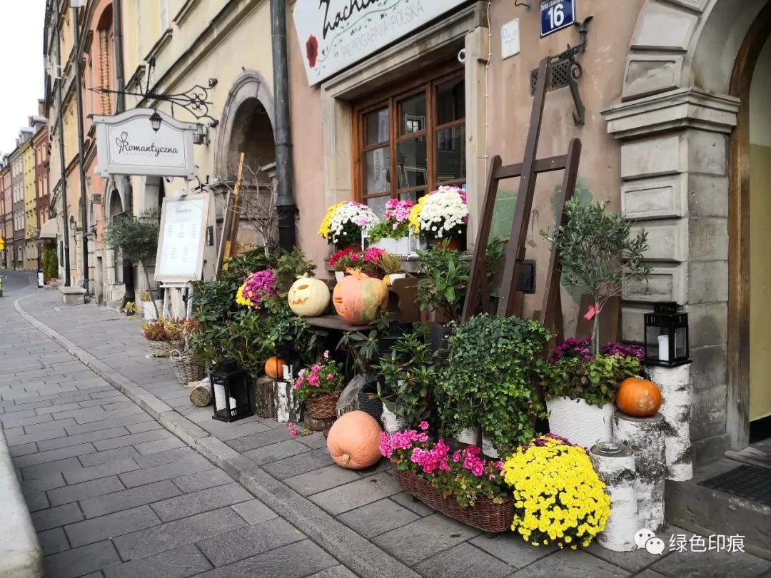 华沙老城与华沙美人鱼,波兰电影华沙美人鱼