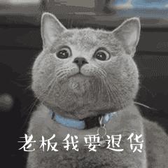 运费险有时效性吗,说说运费险这点事