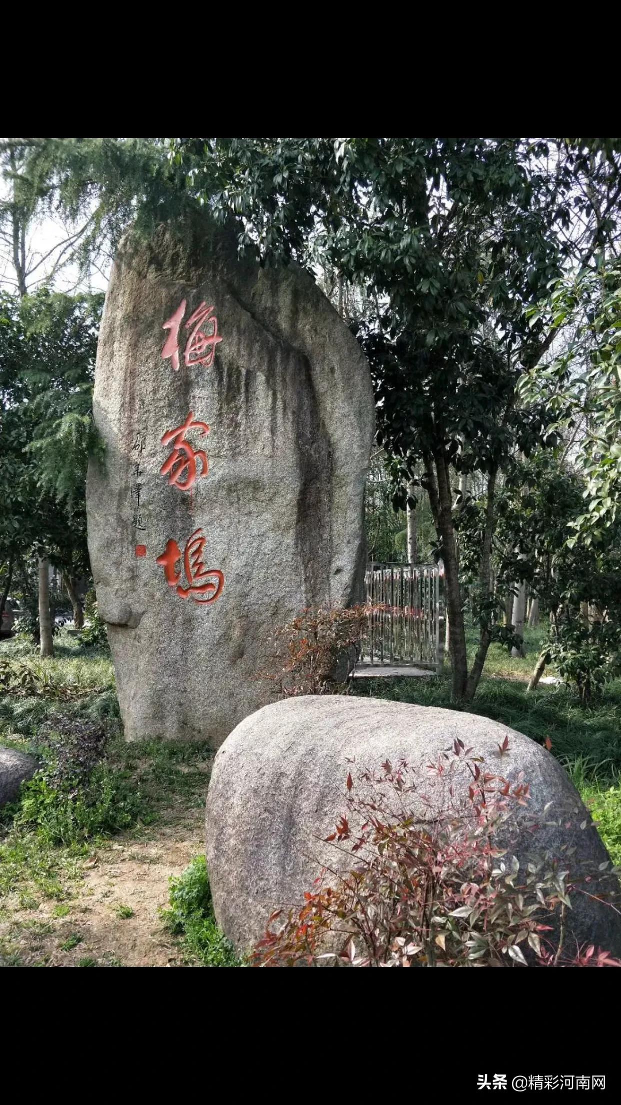 妙婵自叹,妙婵讲普通话