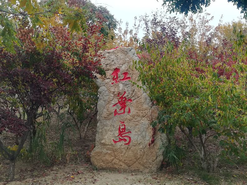 天津遛娃好去处,天津近郊一日游好去处