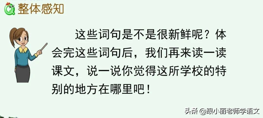 大青树下的小学重要背诵内容,大青树下的小学重点知识点