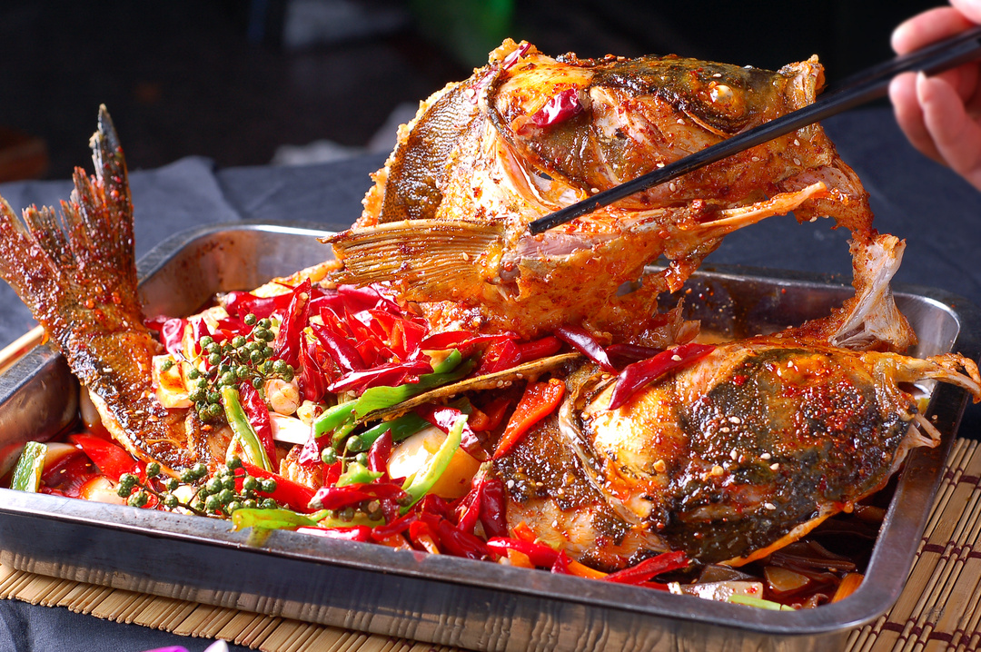 初壹食午这个项目怎么样,初壹食午适合北方加盟吗