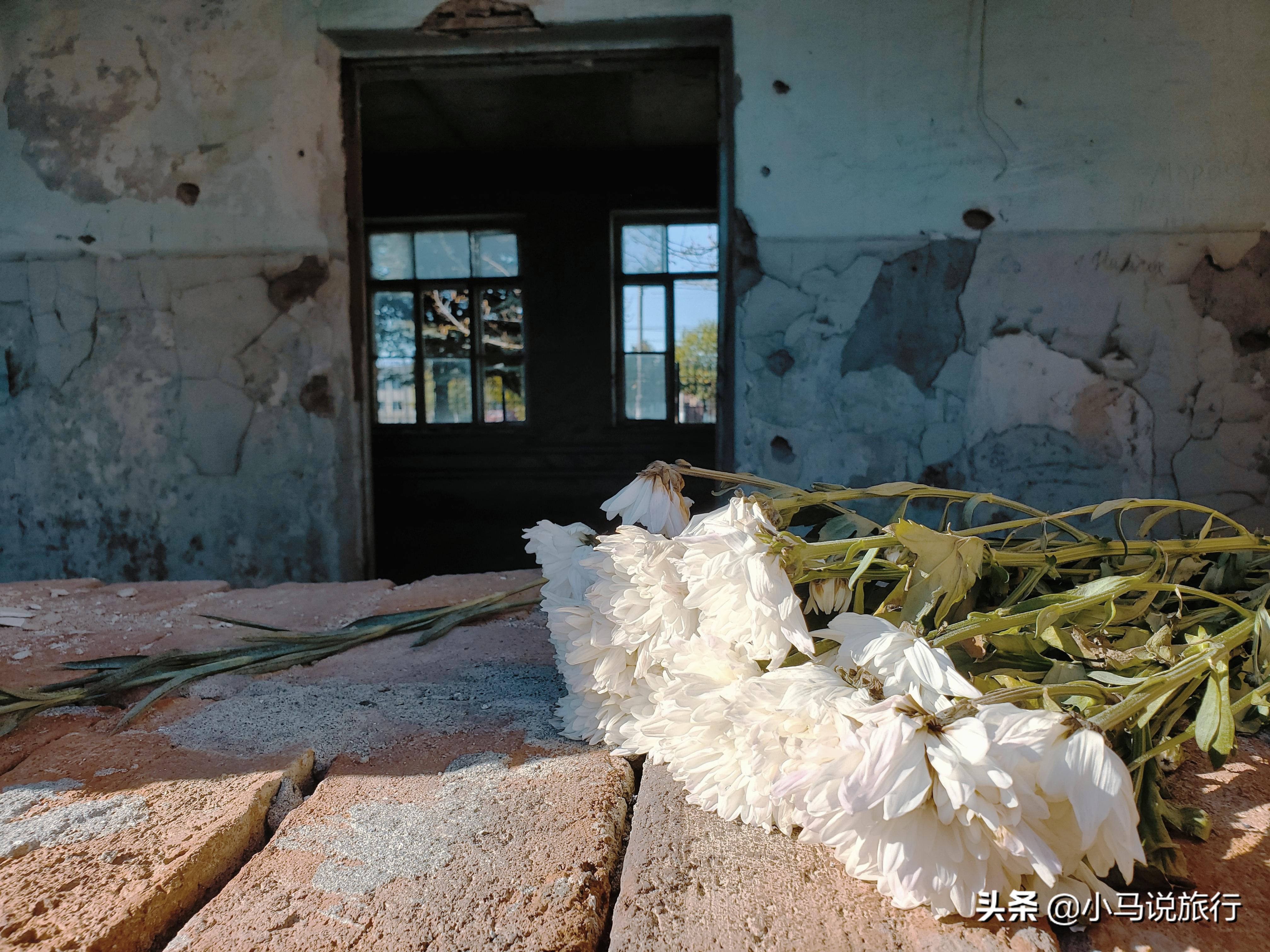 俄罗斯北高加索旅游攻略,俄罗斯旅游北高加索